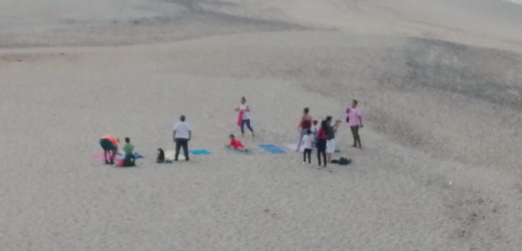 e74cf33b-f893-4b1b-b52e-9a105343faf7